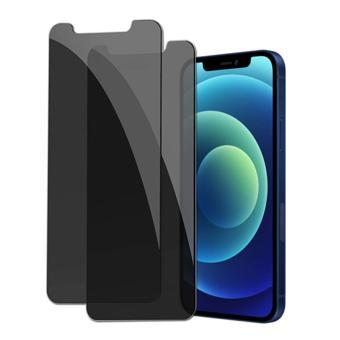 Apple iPhone 12 Pro Max Full-Screen Privacy Görünmez Mat  Hayalet Ekran Koruyucu Cam 