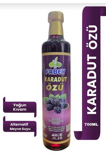 Fabey Karadut Özü 700Ml