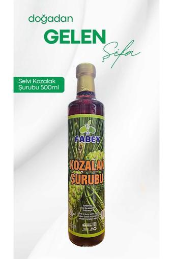 Fabey Kozalak Şurubu 500Ml