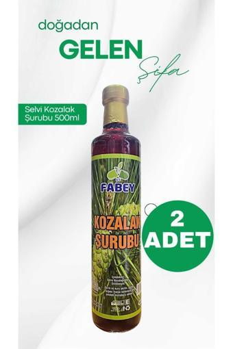 Fabey Kozalak Şurubu 500Ml X 2 Adet