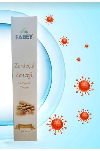 Fabey Zerdeçal & Zencefil Sıvı Ekstrakt Karşımı 250Ml X2 Adet