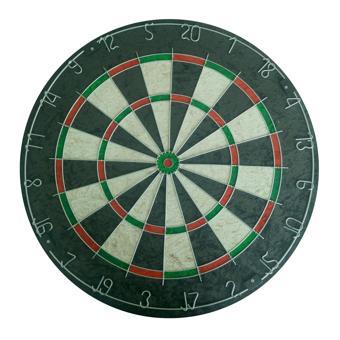 Tryon Dart Domuz Kılı Drt-300