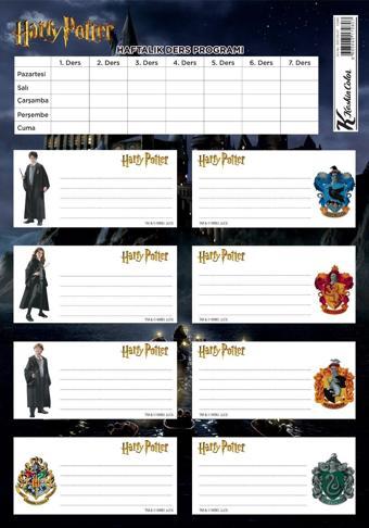 Keskin Color Ders Programlı Okul Etiketi Harry Potter 3 Yaprak 220130-07