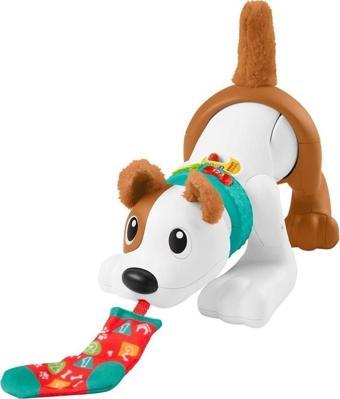 Fisher-Price Oyuncak Emeklemeyi ve Saymayı Öğreten Köpekçik HHH13