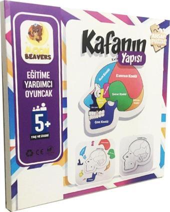 Moon Beavers Kafanın Yapısı Eğitici Katmanlı Ahşap Oyuncak