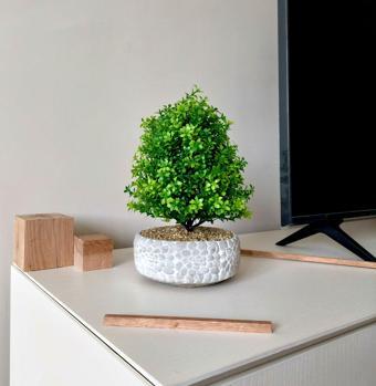 Taş Desenli Beton Saksıda Dekoratif Çakıl Ağaç (14×30 cm) - Beyaz