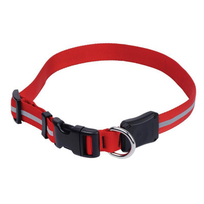 Nite Ize Nite Dawg Collar Köpek Tasması L