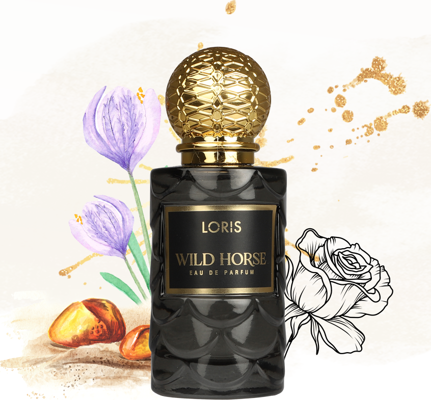 Loris Wild Horse Erkek Parfüm EDP 50 ML | Gücün ve Zarafetin Yansıması