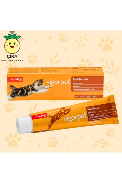 Candioli Vigorpet Cat Pasta 50 g – Kedi İçin Çoklu Vitamin ve Amino Asit Takviyesi -skt 05.2027-