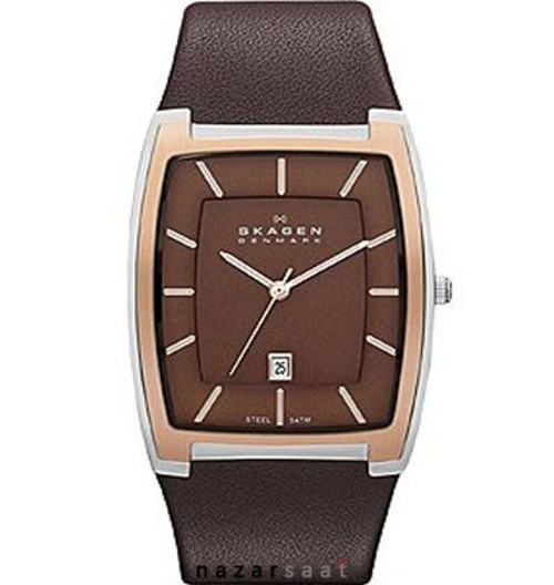 SKW6004 SKAGEN ERKEK KOL SAATİ