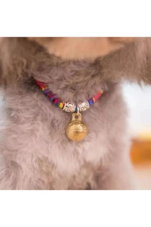 ÇINGIRAKLI KEDİ BOYUN TASMASI