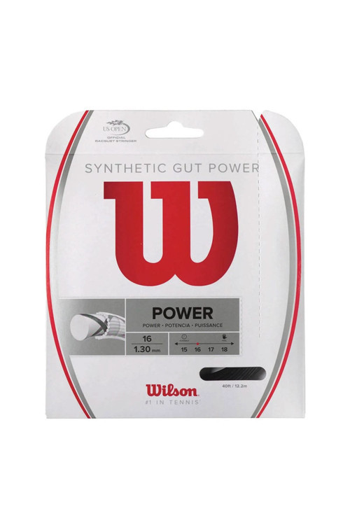 Kordaj Sentetik Gut Power 16 Bk ( Wrz945200 )