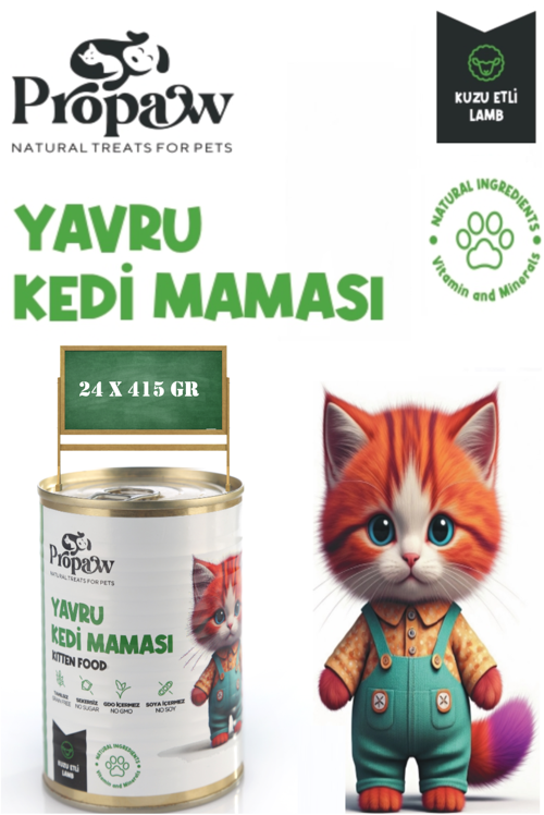 Yavru Kedi Yaş Mama Kuzu Konserve Jöleli Premium Parça Etli Besleyici Tahılsız İçerik 24 x 415 gr