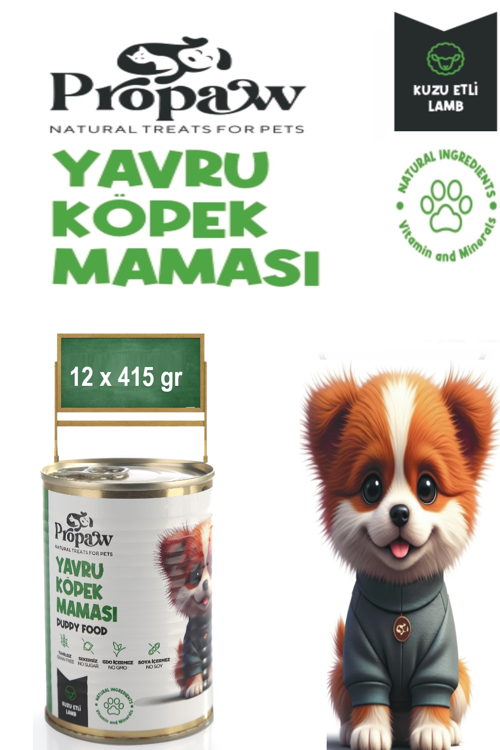 Yavru Köpek Yaş Mama Kuzu Konserve Jöleli Premium Parça Etli Yemek Besleyici Tahılsız Form 12x415 gr