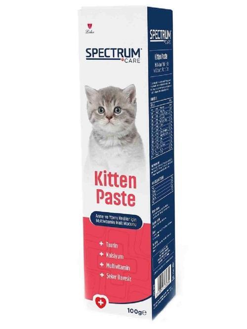 Anne ve Yavru Kediler İçin Multivitamin Malt Paste 100 Gr