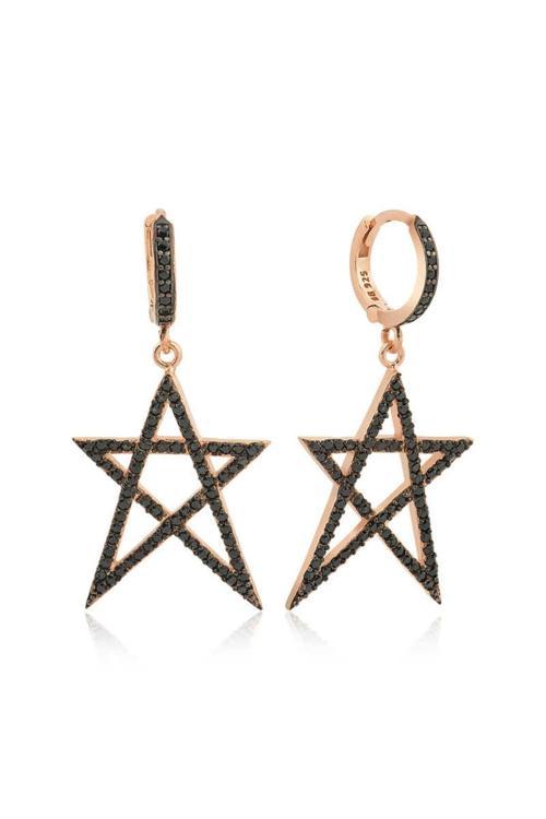 Gümüş Siyah Yıldız Küpe