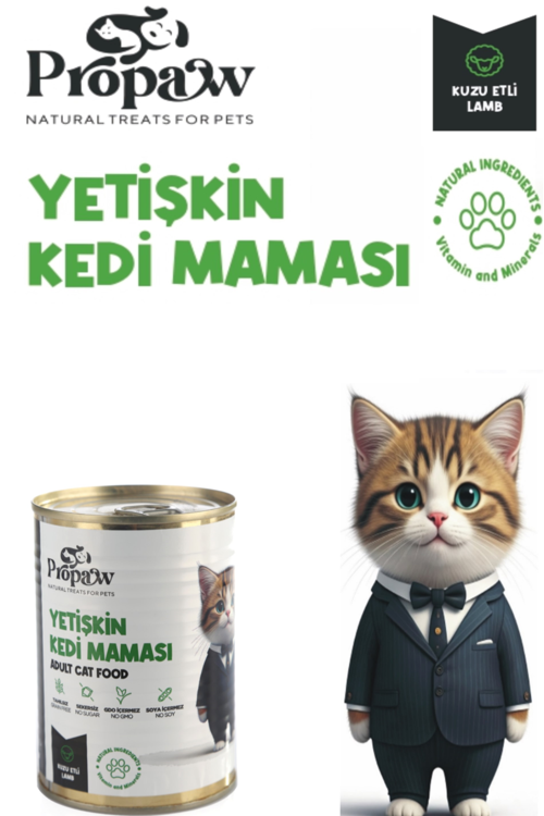 Kedi Yaş Mama Kuzulu Konserve Jöleli Premium Parça Etli Yemek Besleyici Tahılsız Temiz İçerik 
