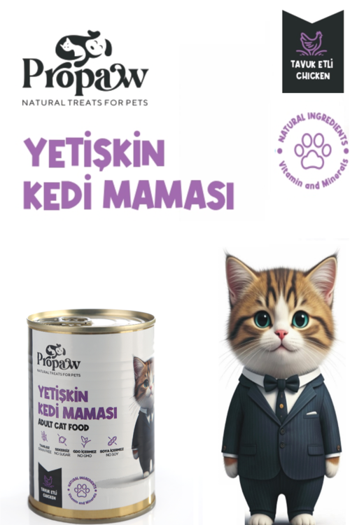 Kedi Yaş Mama Tavuklu Konserve Jöleli Premium Parça Etli Yemek Besleyici Tahılsız Temiz İçerik 