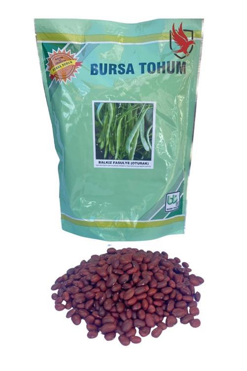 Balkız Fasulye Tohumu (Oturak) 1 Kg