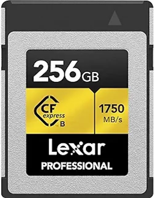 LCXEXPR256G-RNENG 256 GB 1750-1500Mb/s CF Express Type B Compact Flash Kart