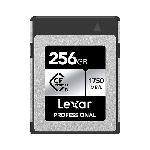 LCXEXSL256G-RNENG 256 GB 1750-1300Mb/s CF Express Type B Compact Flash Kart