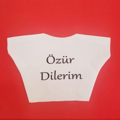 Büro Ev Ofis Oyuncak Hediyesi için Kumaş Özür Dilerim Yazılı Tişört