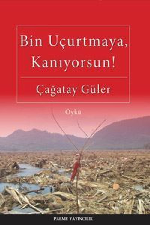 Palme Yayınevi Bin Uçurtmaya Kanıyorsun ! Öykü Kitabı
