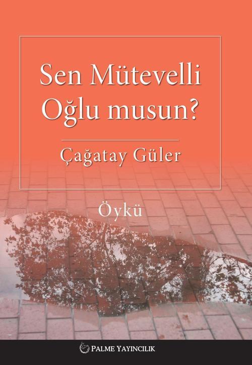 Palme Yayınevi Sen Mütevelli Oğlu Musun ? Öykü Kitabı