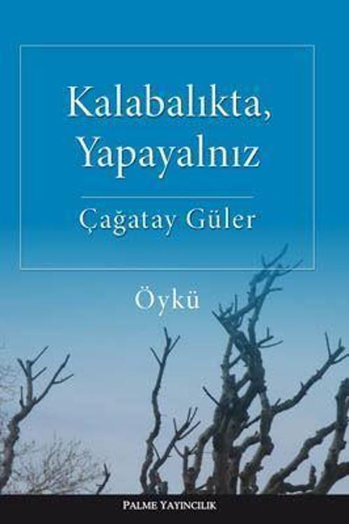 Palme Yayınevi Kalabalıkta, Yapayalnız Öykü Kitabı