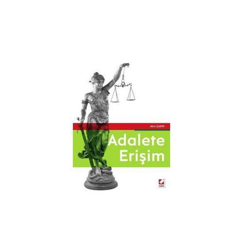 Adalete Erişim Akın Çakın 2016/05
