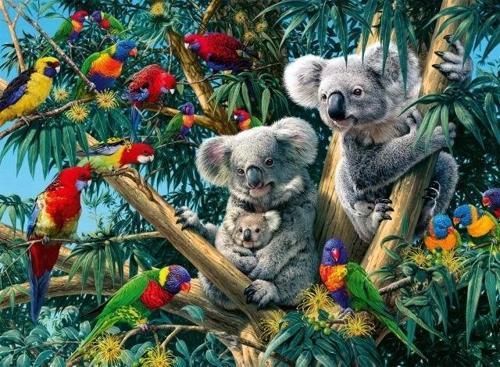 Koalas Ağaçta 500 Parça Puzzle - 14826 New Packaging