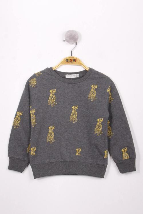 Toontoy Erkek Çocuk Köpek Baskılı Sweatshirt