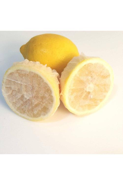 250 Adet Hijyenik Limon Bonesi - Bitki Çayı Bonesi (Gıdaya Uygun Materyal)