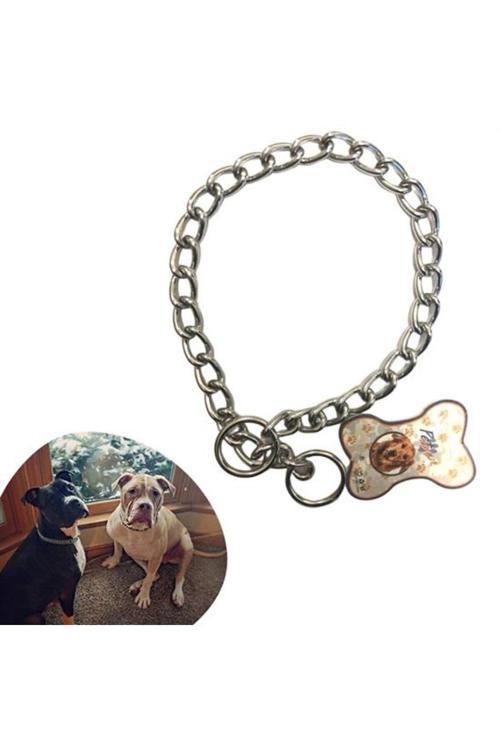 65 Cm Uzunlukta Zincir Model Köpek İçin Boyun Tasması (4415)