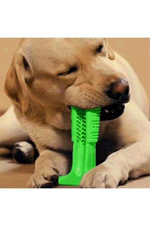 Köpek Diş Temizleyici Ve Kaşıyıcı Sağlıklı Küçük Boy Oyuncak (4434)