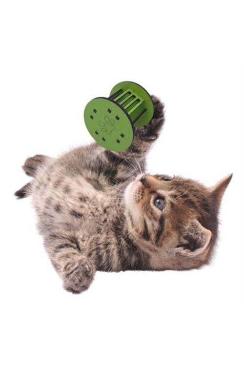 Mini Silindir Eğlenceli Renkli Sağlam Küçük Pati Izi Şekilli Kedi Oyuncağı