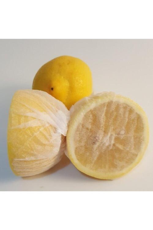 1000  (Bin Adet ) Adet Hijyenik Limon Bonesi - Bitki Çayı Bonesi (Gıdaya Uygun Materyal)