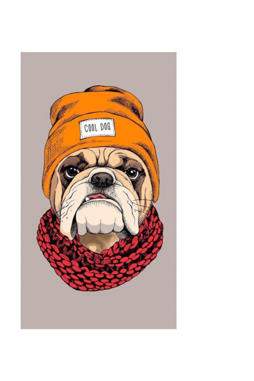 Bandana Cool Dog