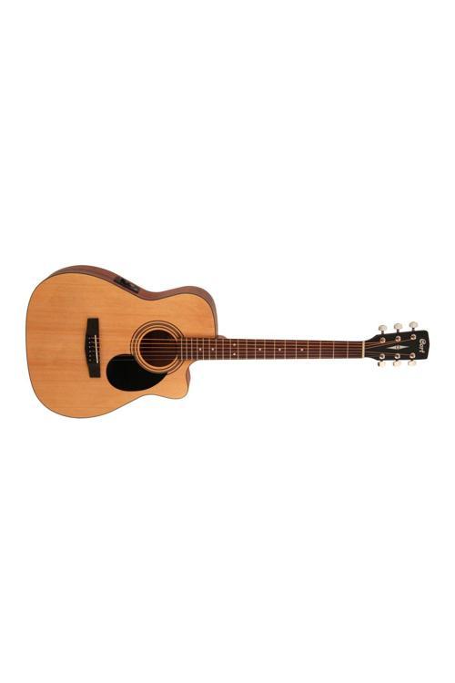 Elektro Akustik Gitar