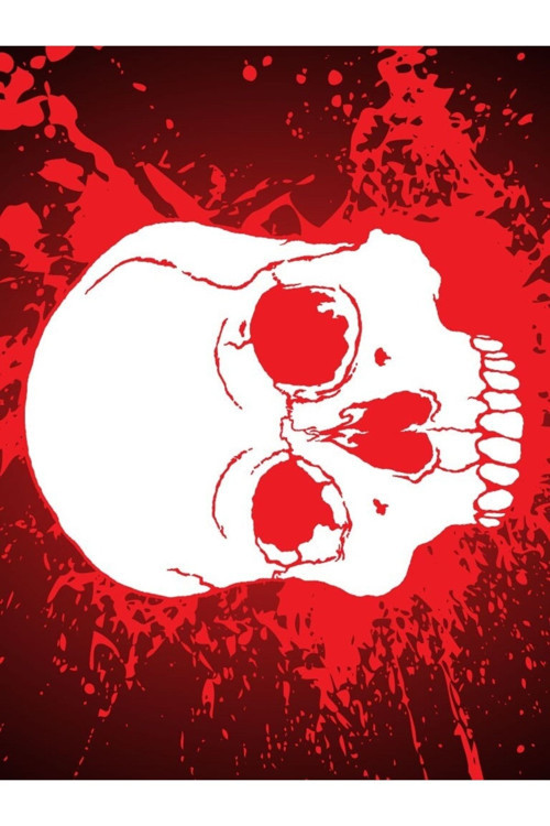 Horror Skull Motorcu Buff Maske Outdoor Boyunluk Unisex Bandana