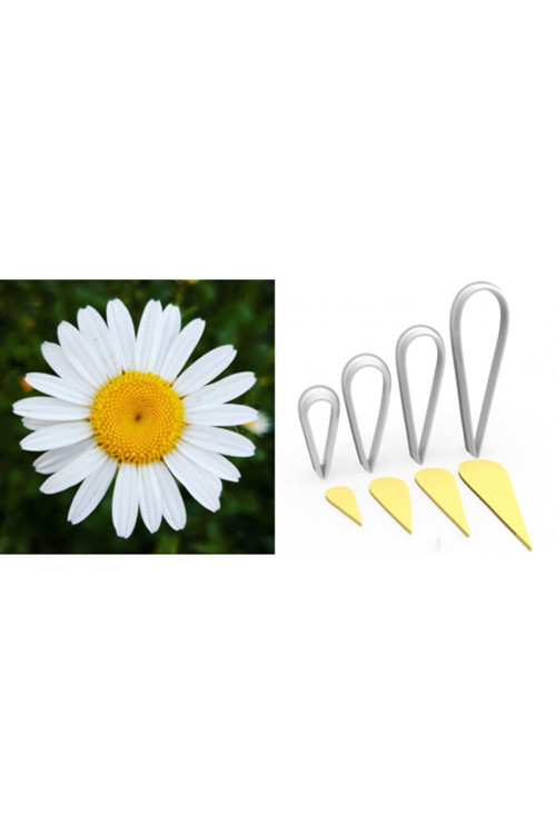 Papatya Çiçek Taç Kesici Set 4’Lü – 5Cm