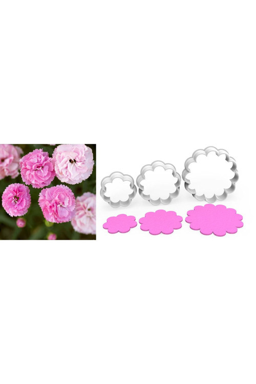 Karanfil Büyük Boy Çiçek Yaprak Kesici Set 3’Lü – 8Cm