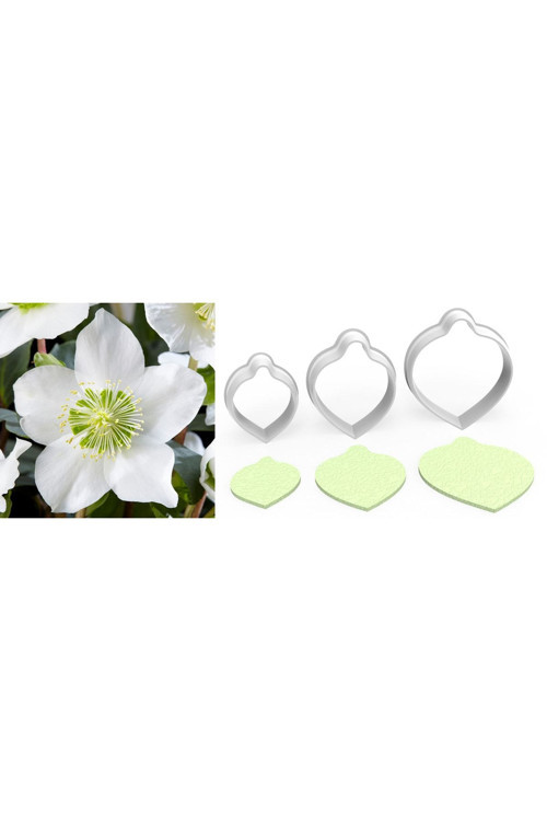Noel Gülü Büyük Boy Çiçek Kesici Set 3’Lü – 6Cm