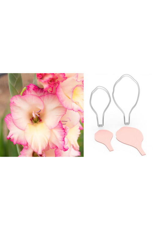 Gladıolus Glayöl Çiçek Kesici Set 2’Li – 8Cm