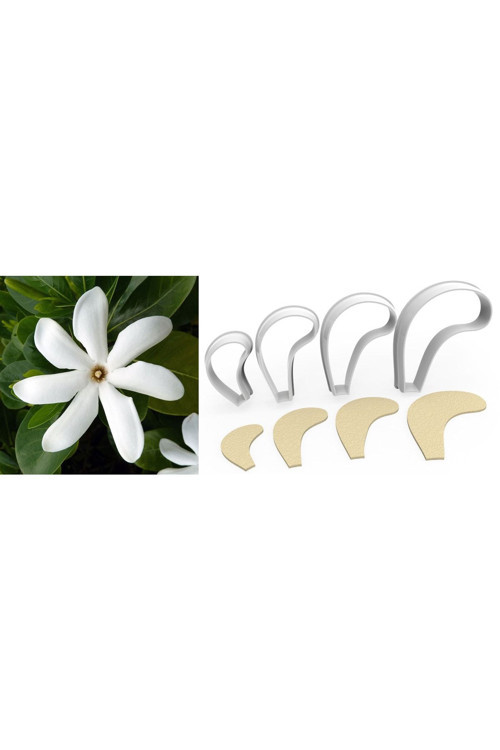 Gardenya Büyük Boy Çiçek Kesici Set 4’Lü – 10Cm