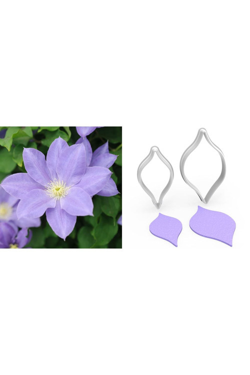 Yabanasması Büyük Boy Çiçek Kesici Set 2’Li – 9Cm