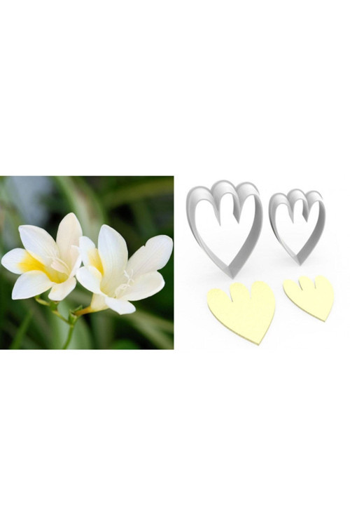 Frezya Çiçek Yapım Kesici Set 2’Li – 4Cm