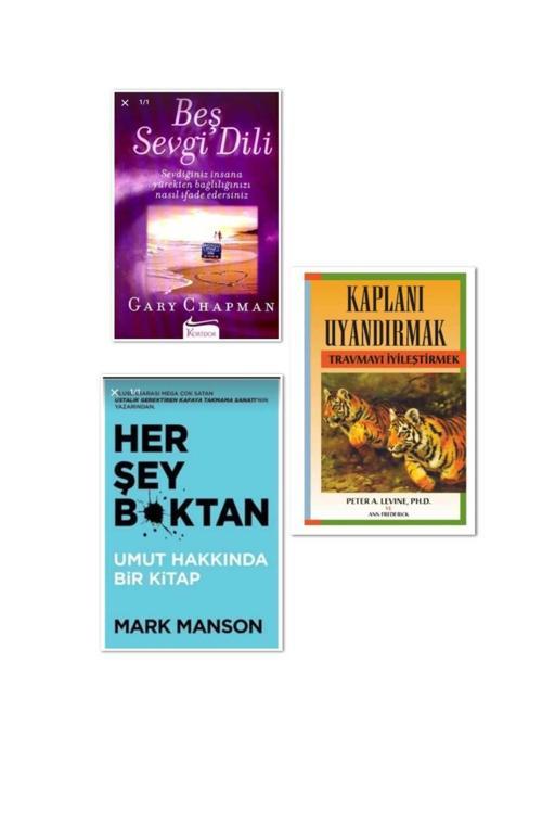 beş sevgi dili , kaplanı uyandırmak  ve herşey boktan 3 lü set
