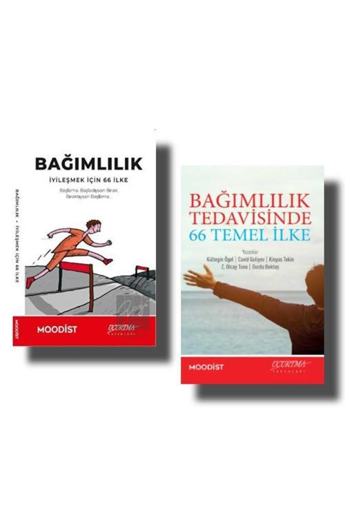 Uçurtma Yayınları Bağımlılık Tedavisinde 66 Temel İlke / Bağımlılık İyileşmek İçin 66 İlke