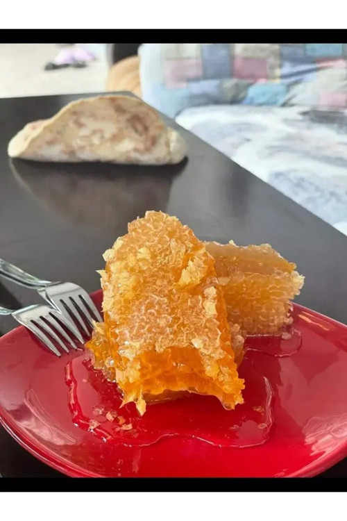 Organik Şekersiz Reşadiye Yayla Petek Balı (1000 Gr)
